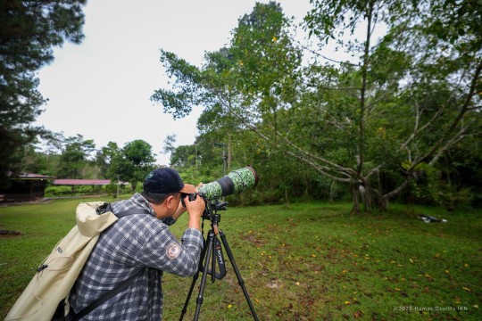 Otorita IKN Selenggarakan Bird Race Pertama di Kalimantan untuk Perkenalkan Keanekaragaman Hayati IKN
