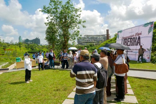 Penanaman Kopi Liberika Tandai Inisiatif Pertanian Berkelanjutan di IKN