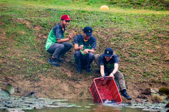 Peringati Hari Pangan Sedunia, Otorita IKN Tebar 500 Kilogram Ikan di Embung H Nusantara
