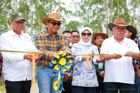 Pelepasliaran Rusa Sambar Tegaskan Komitmen Nusantara Membangun Kota Hutan Berkelas Dunia