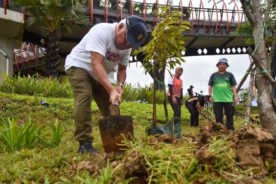 IKN Tanam 500 Pohon pada Peringatan Hari Menanam Pohon Indonesia