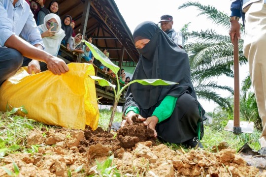 Pemberdayaan Masyarakat Lokal Perkuat Ketahanan Pangan Nusantara Melalui Budidaya Pisang Kultur Jaringan